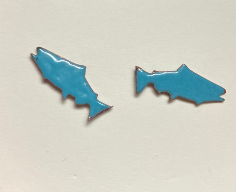 Sapphire Salmon